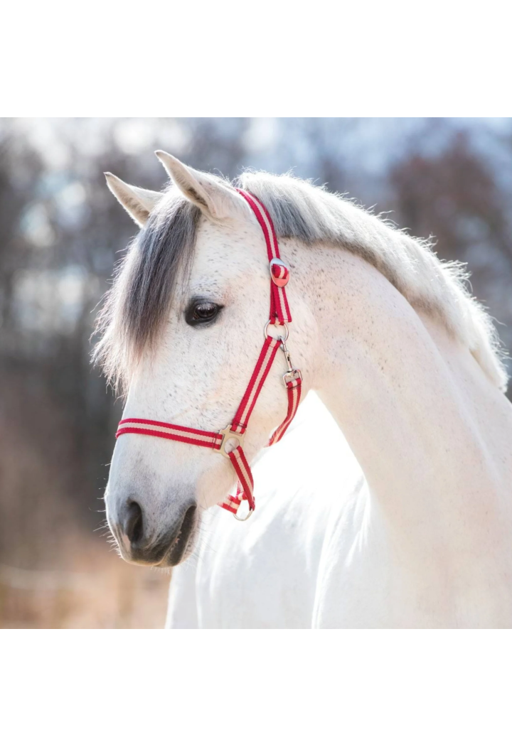 Kantar COVALLIERO Hippo