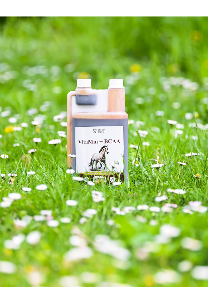 Suplement OH VitaMin+BCAA wit+amino 1l