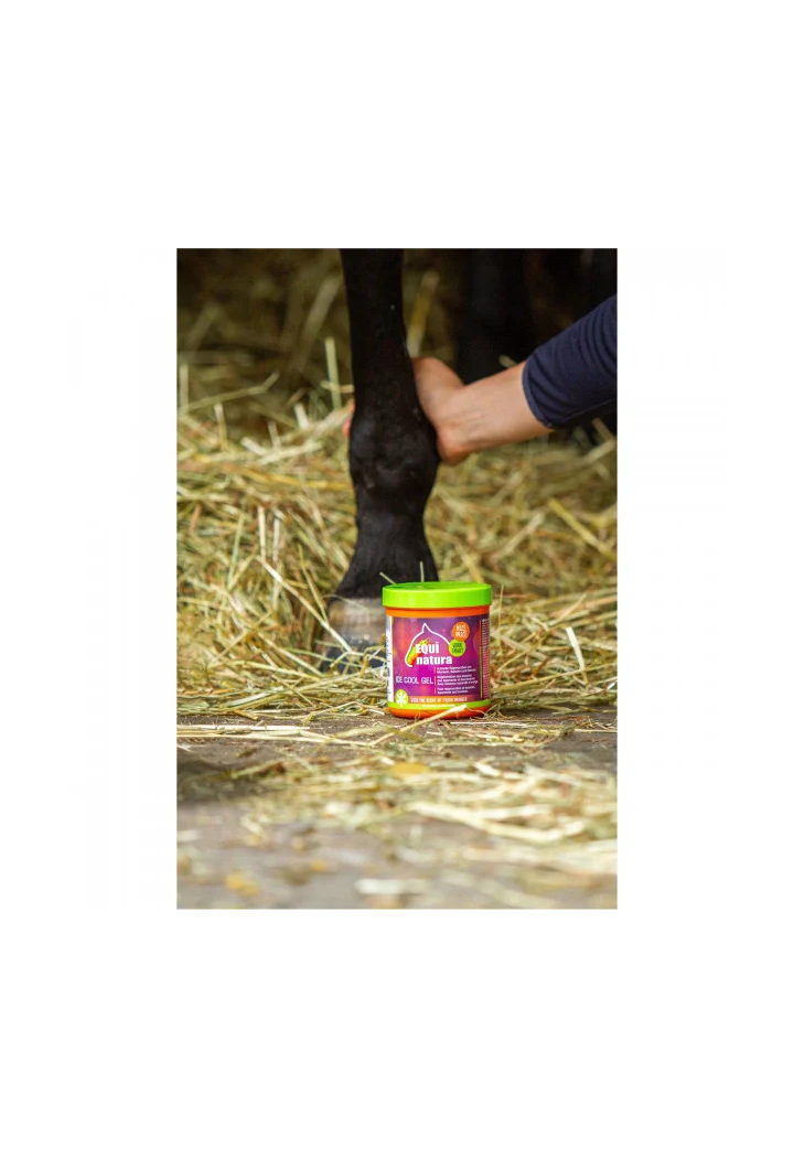 Żel chłodzący EQUINATURA Cooling Gel 600ml