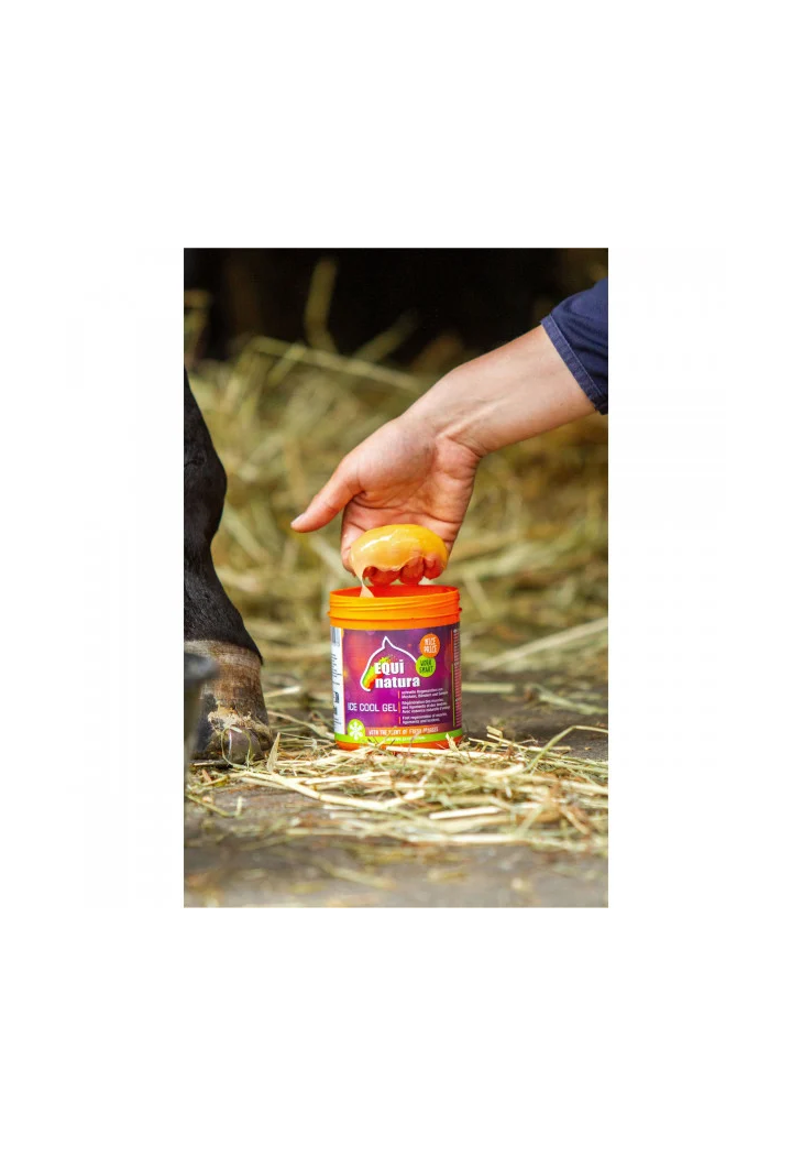 Żel chłodzący EQUINATURA Cooling Gel 600ml