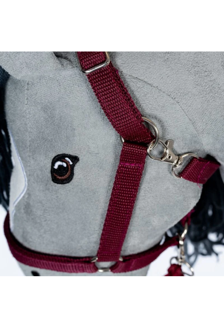 Kantar z uwiązem ASTRUP HobbyHorse red