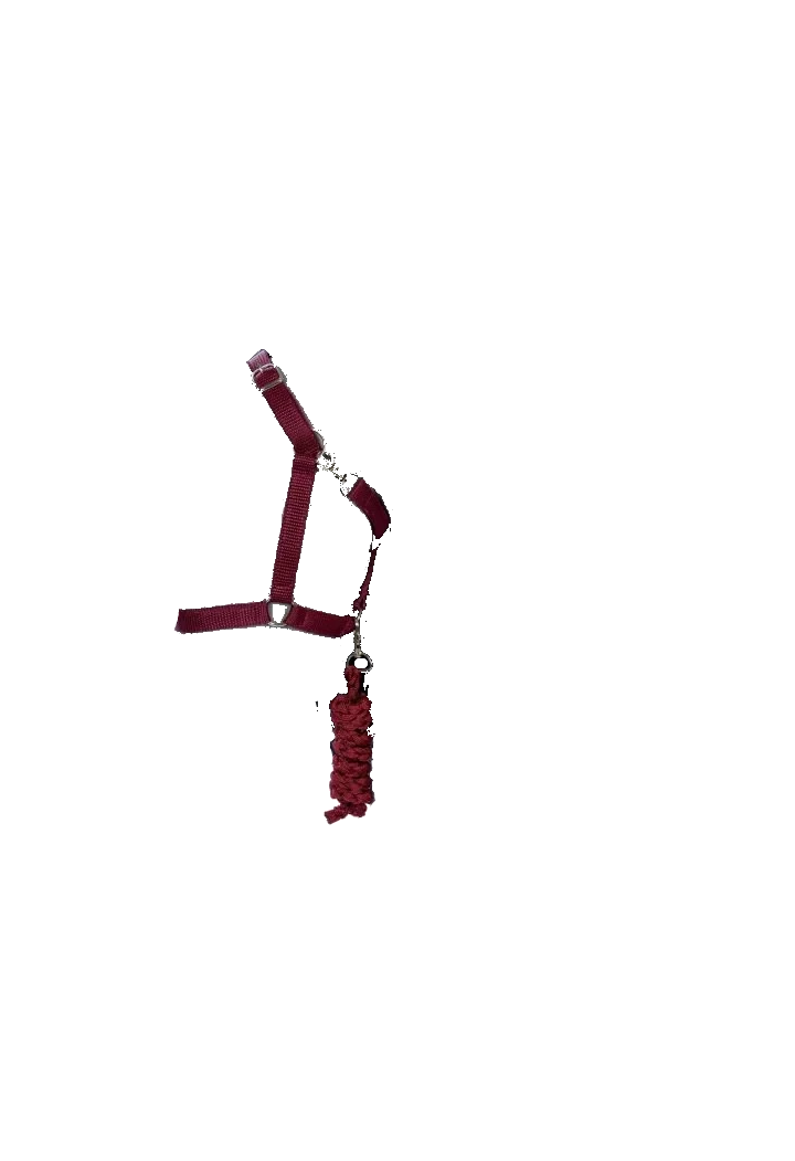 Kantar z uwiązem ASTRUP HobbyHorse red
