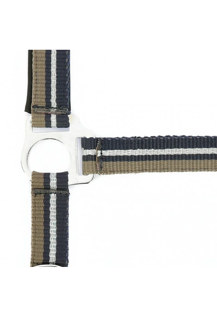 Kantar NORTON Brillant + uwiąz