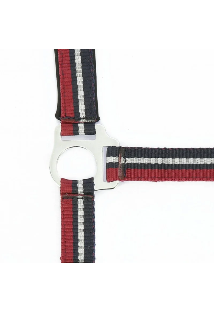 Kantar NORTON Brillant + uwiąz