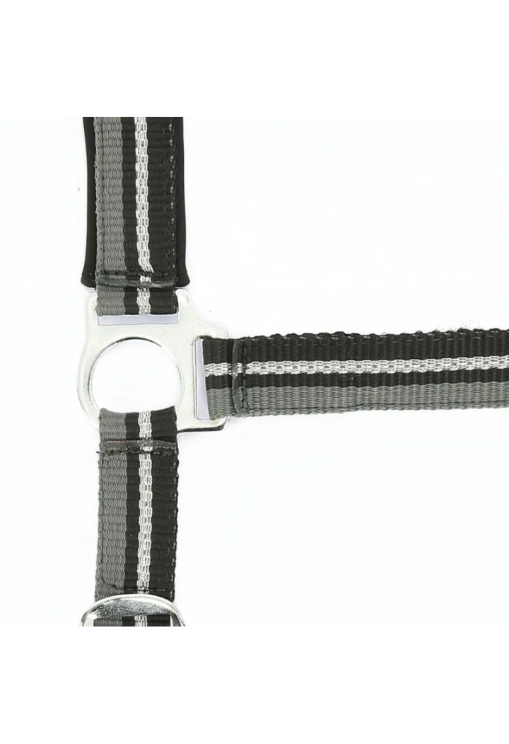 Kantar NORTON Brillant + uwiąz