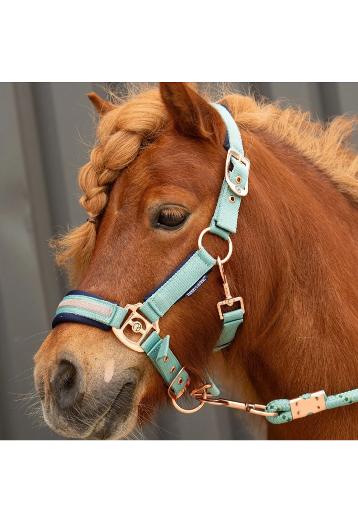 Kantar z uwiązem HH Samara 25SS