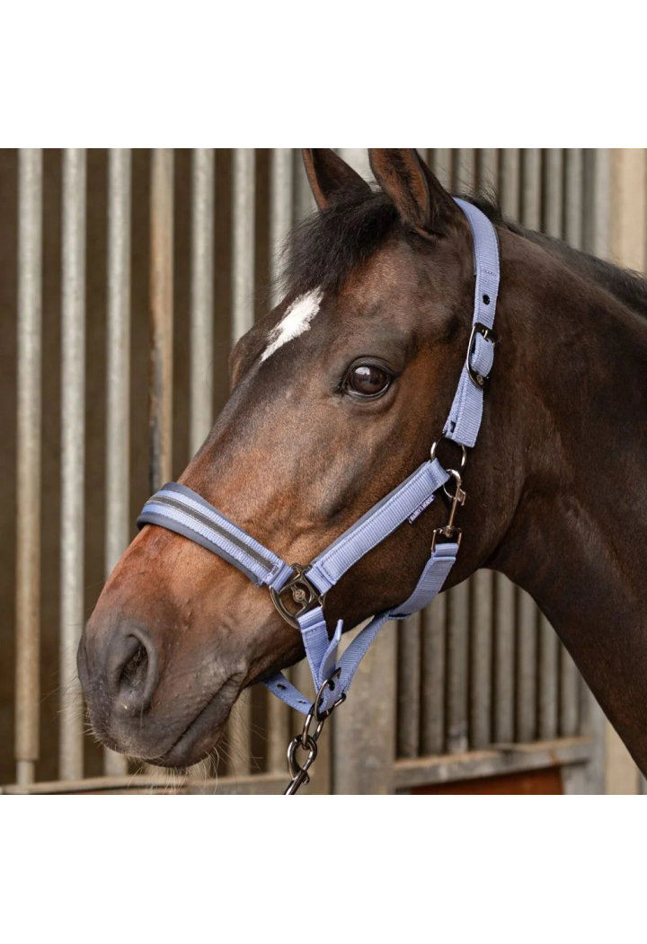 Kantar z uwiązem HH Samara 25SS