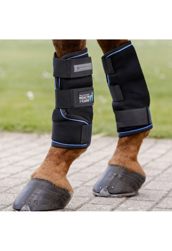 Ochraniacze chłodzące WALDHAUSEN CareIce | Sklep jeździecki Horse Trade.pl