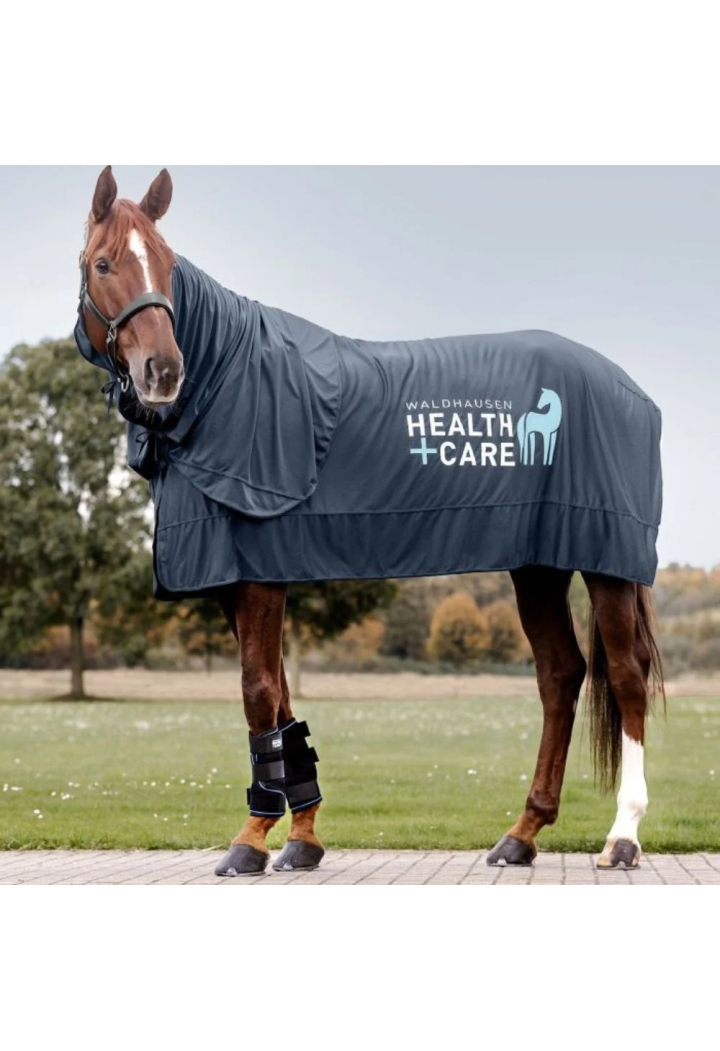 Ochraniacze chłodzące WALDHAUSEN CareIce | Sklep jeździecki Horse Trade.pl