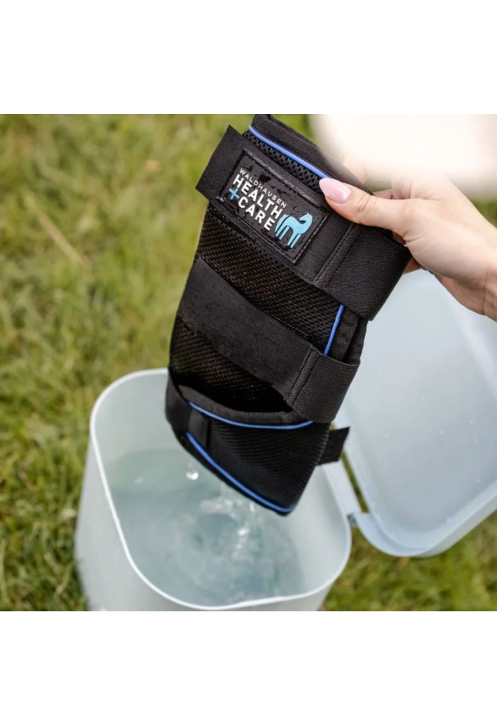 Ochraniacze chłodzące WALDHAUSEN CareIce | Sklep jeździecki Horse Trade.pl