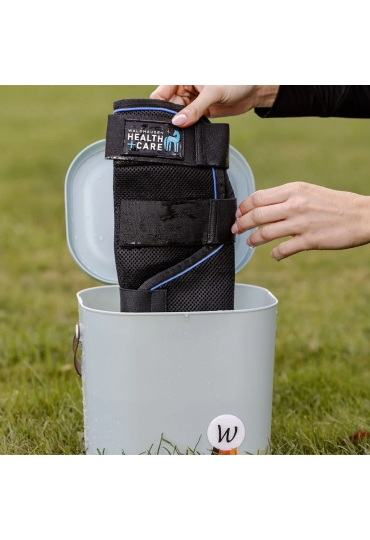 Ochraniacze chłodzące WALDHAUSEN CareIce | Sklep jeździecki Horse Trade.pl