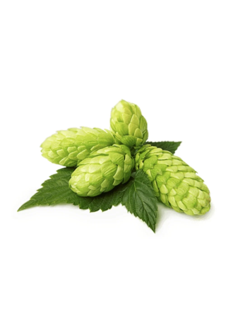 Szyszki chmielu EQUIHERBS EKO torba 500g | Sklep jeździecki Horse Trade.pl