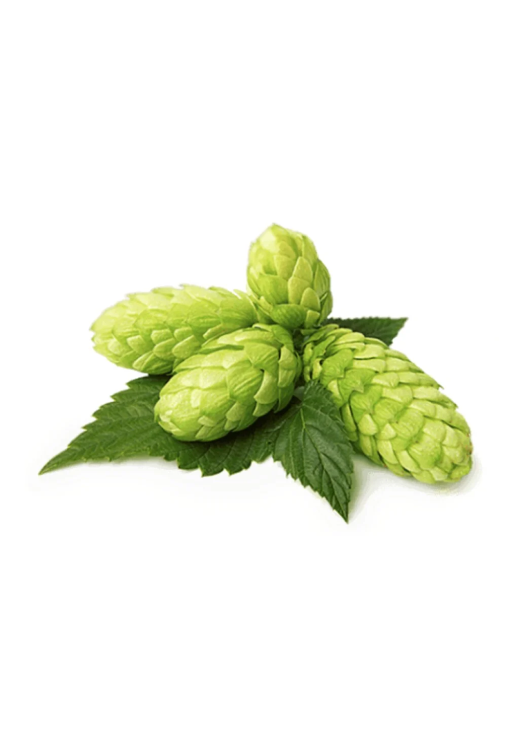 Szyszki chmielu EQUIHERBS EKO torba 500g | Sklep jeździecki Horse Trade.pl