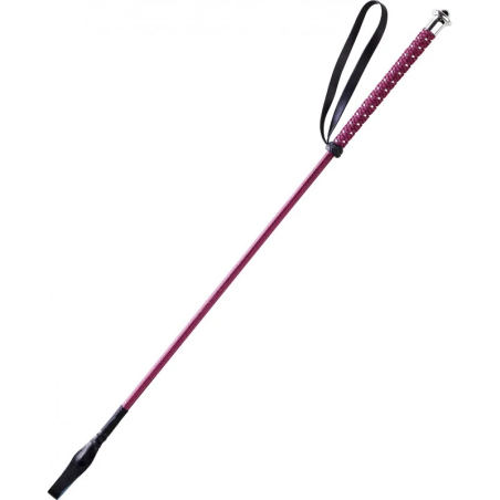 Palcat WHIP&GO Points