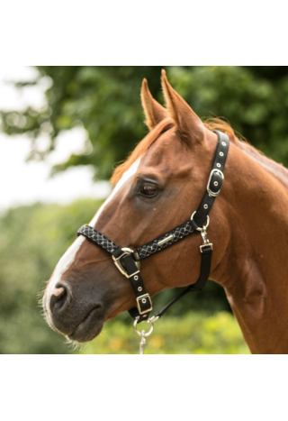 Kantar LAMI-CELL Venus