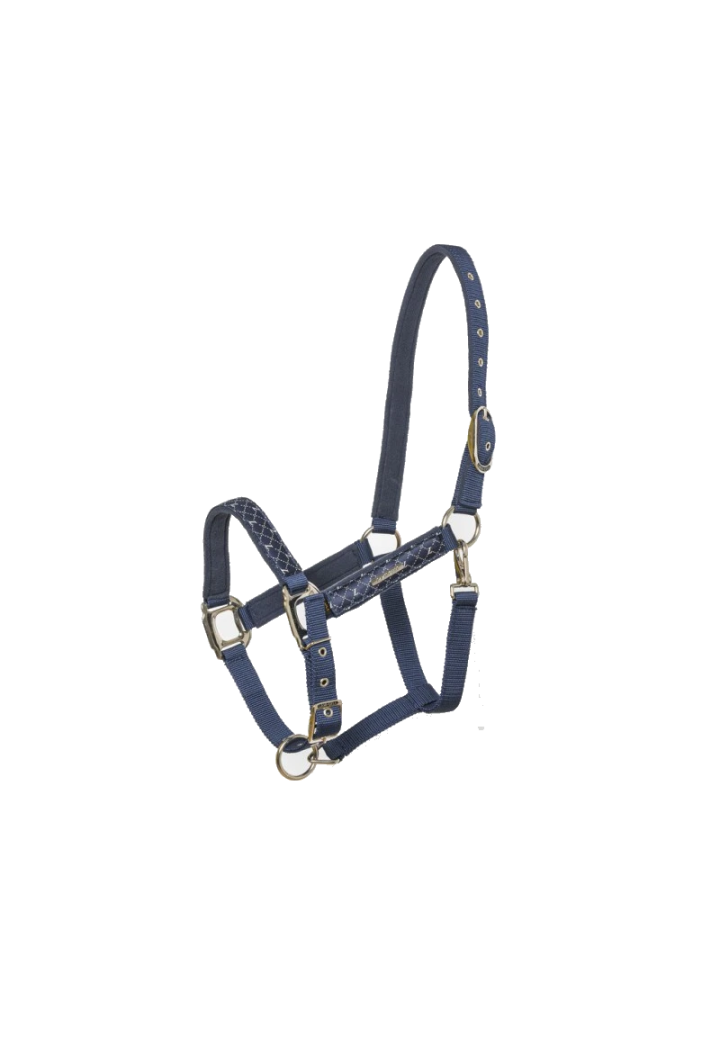 Kantar LAMI-CELL Venus