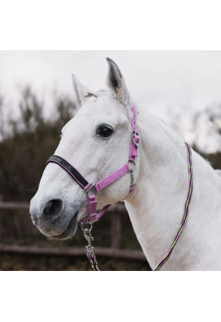 Kantar i uwiąz HORZE Graffiti 25SS
