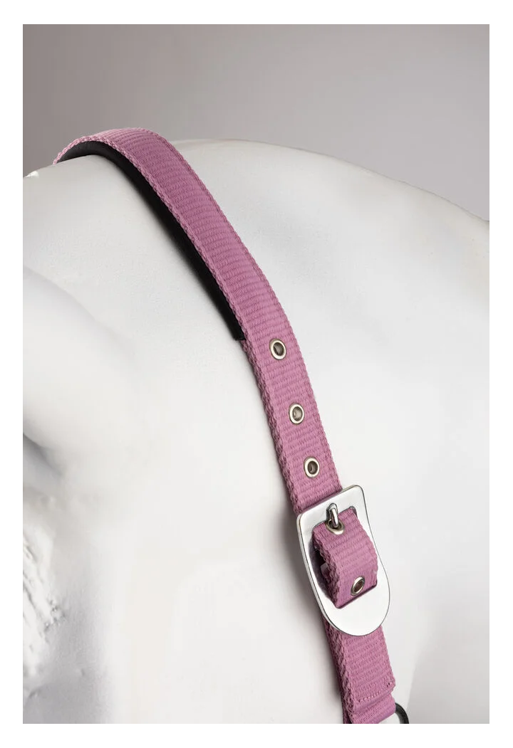 Kantar i uwiąz HORZE Graffiti 25SS