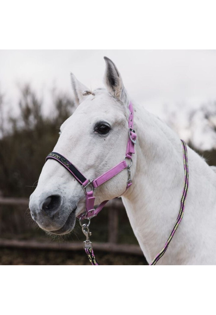 Kantar i uwiąz HORZE Graffiti 25SS