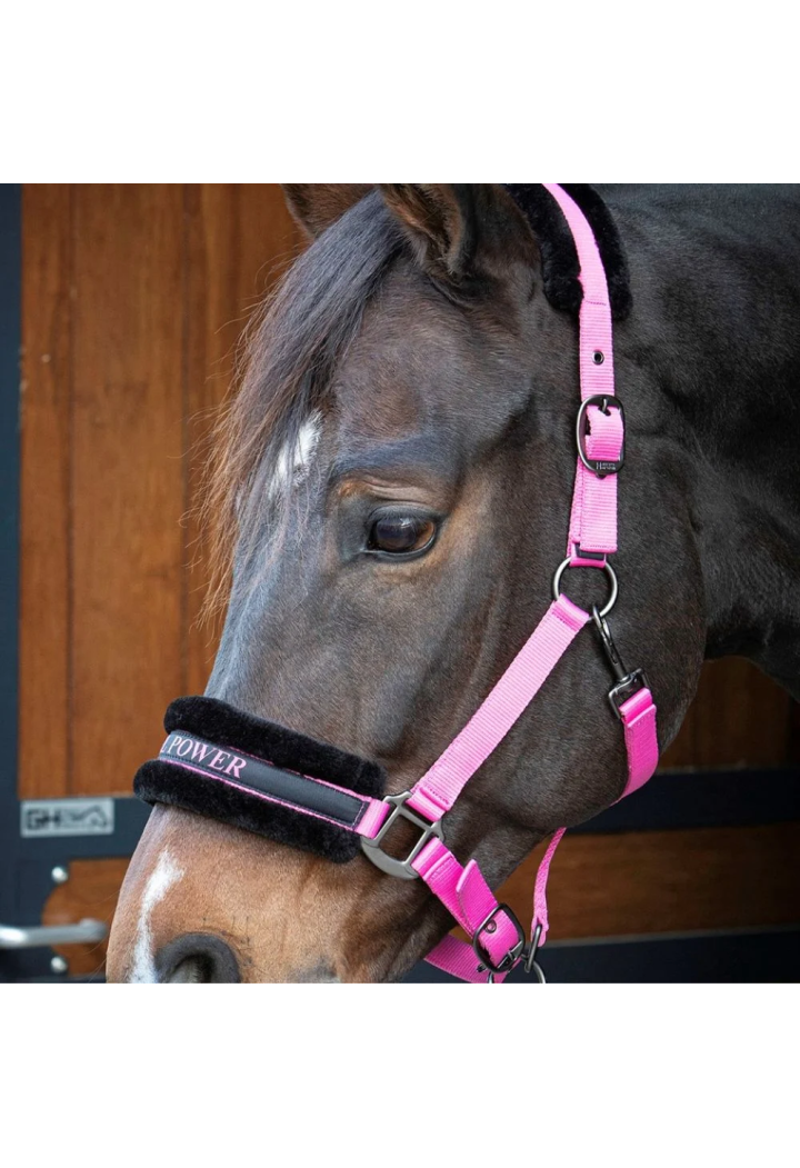 Kantar HH Lyrics Quotes