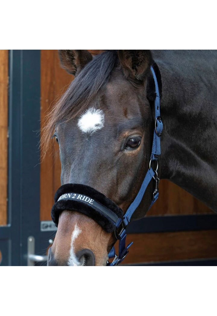 Kantar HH Lyrics Quotes