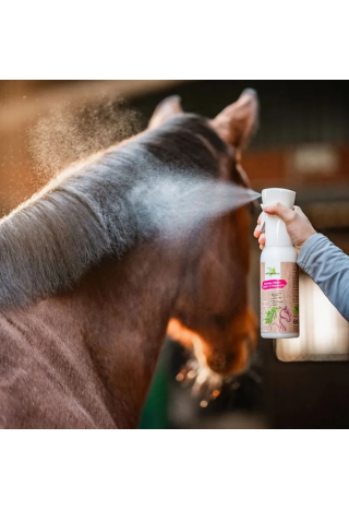 Odżywka do grzywy i ogona B&E NaturalFinish 500ml