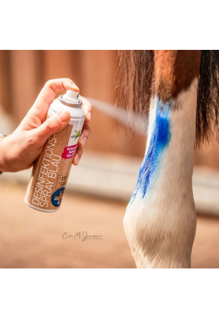 Spray dezynfekujący nieb. B&E Desinfektion 200ml