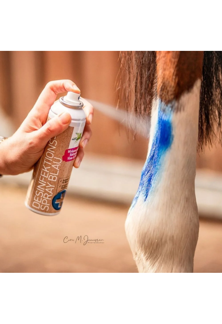 Spray dezynfekujący nieb. B&E Desinfektion 200ml