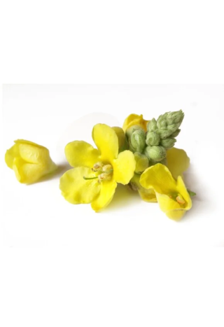 Dziewanna kwiat EQUIHERBS 500g