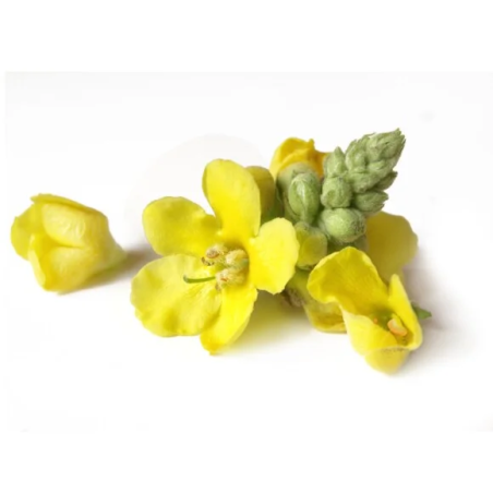 Dziewanna kwiat EQUIHERBS 500g