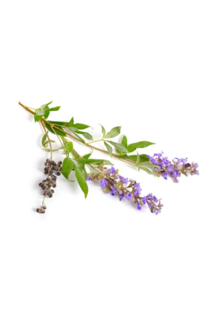 Niepokalanek pospolity EQUIHERBS DOYPACK 1000g