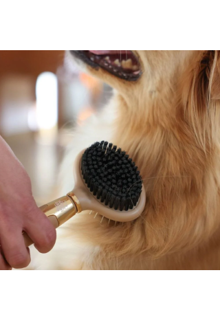 Szczotka dwustronna MAGIC BRUSH 20x10 gold