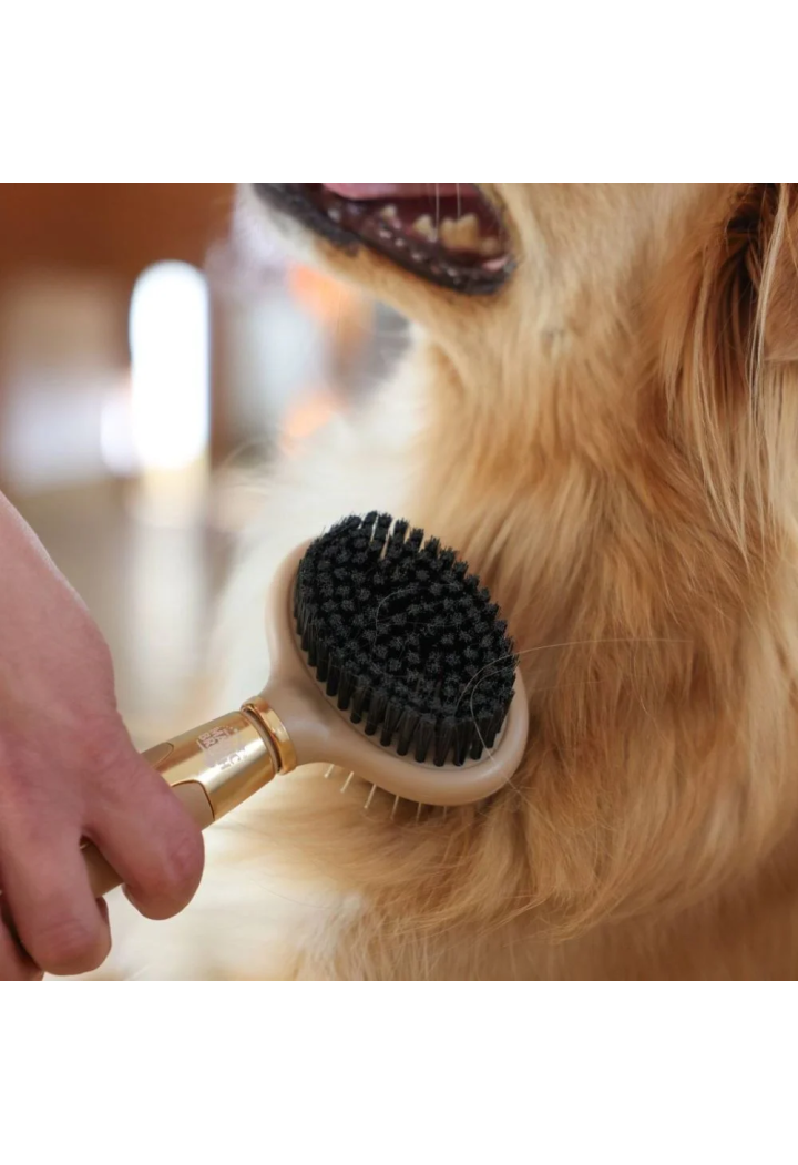 Szczotka dwustronna MAGIC BRUSH 20x10 gold