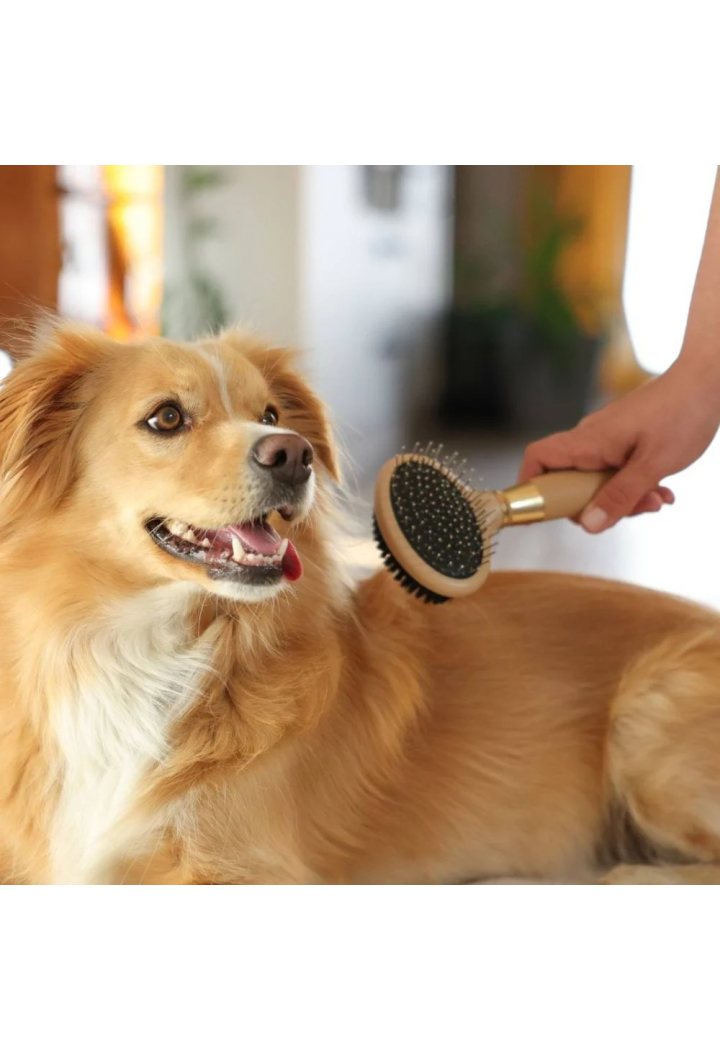 Szczotka dwustronna MAGIC BRUSH 20x10 gold