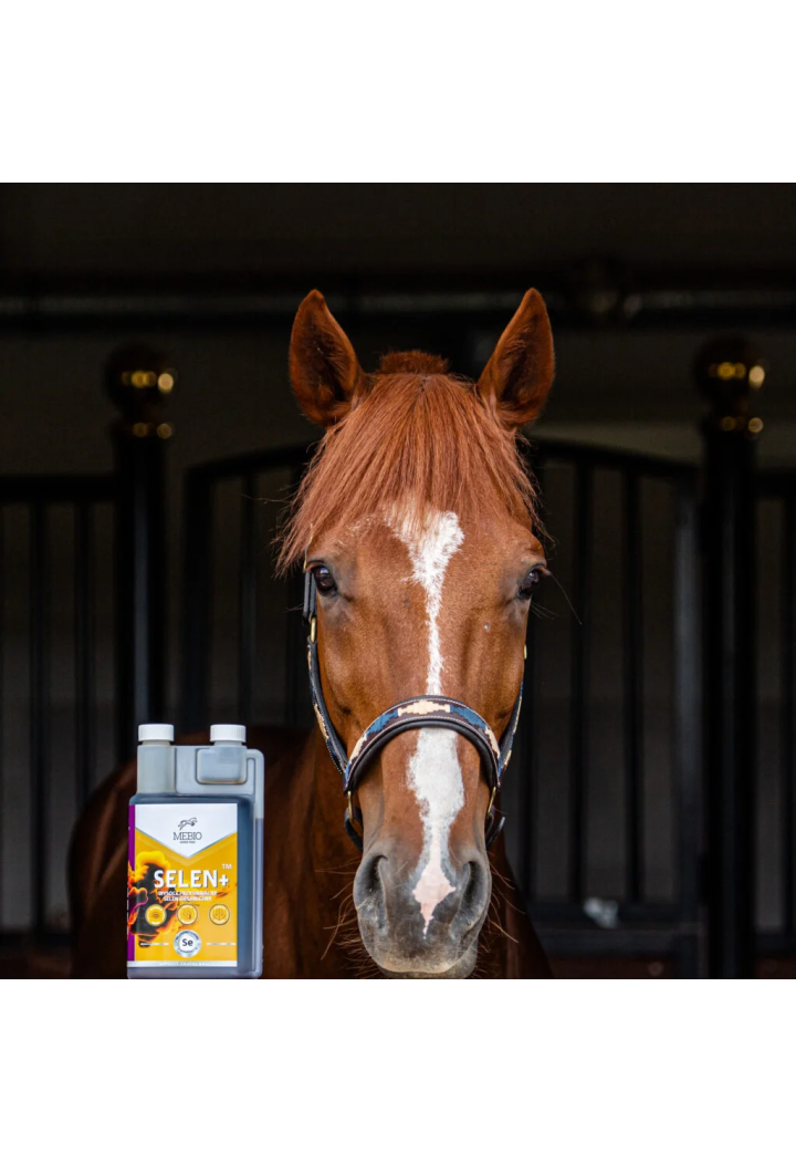 Suplement MEBIO Selen+ witamina C i E 1000ml