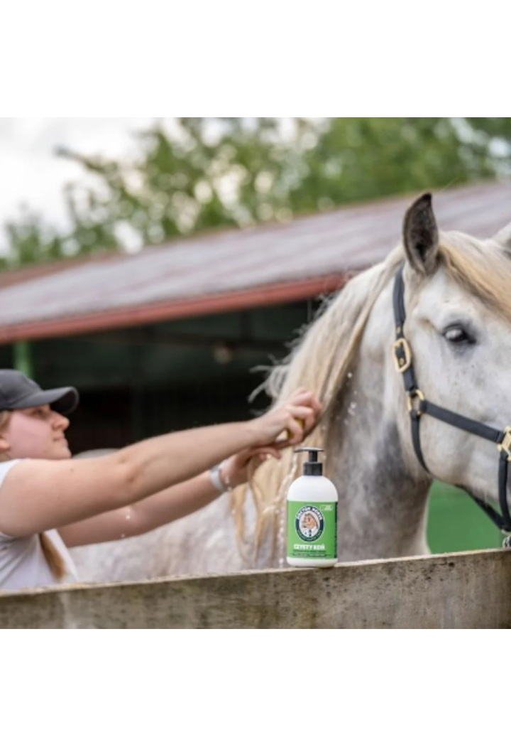 Szampon DOCTORHORSE Czysty Koń 500ml