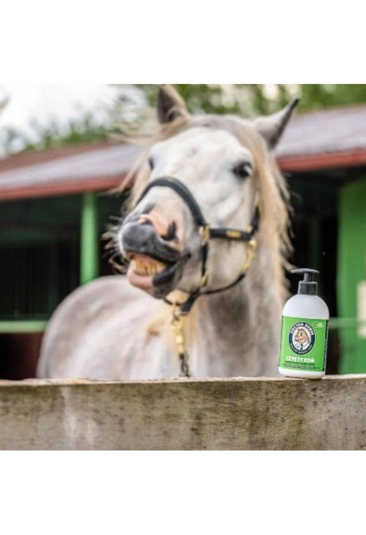 Szampon DOCTORHORSE Czysty Koń 500ml