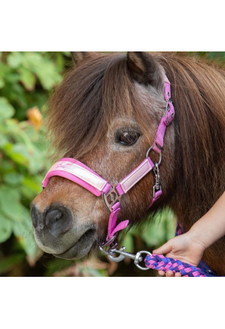 Kantar z uwiązem HH DivaViolet 25SS