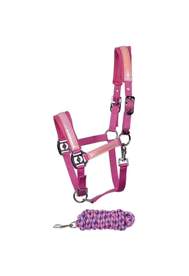 Kantar z uwiązem HH DivaViolet 25SS