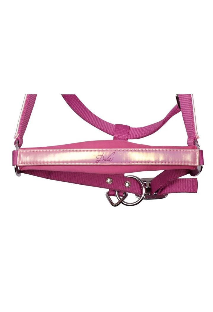 Kantar z uwiązem HH DivaViolet 25SS