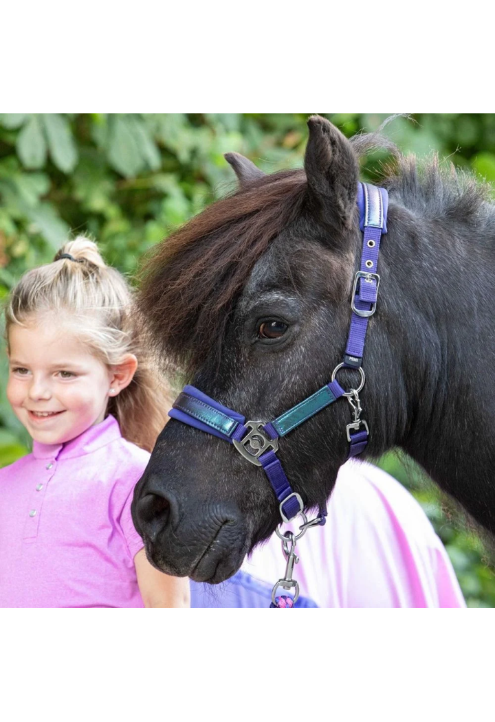 Kantar z uwiązem HH DivaViolet 25SS