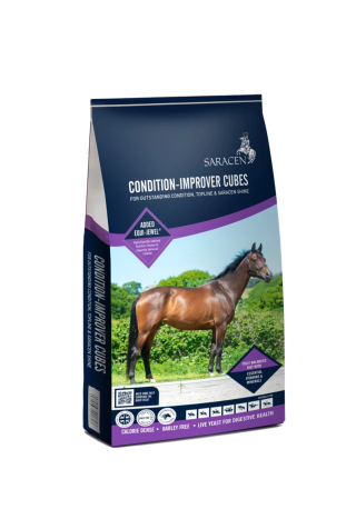 Pasza SARACEN Condition Improver cubes 20kg
