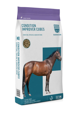 Pasza SARACEN Condition Improver cubes 20kg