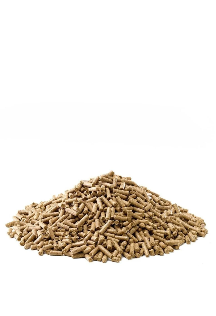 Pasza SARACEN Condition Improver cubes 20kg