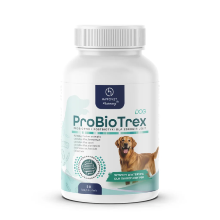 Probiotyk HIPPOVETPharmacy ProbioTREX dog 50 kaps. | Sklep jeździecki Horse Trade.pl