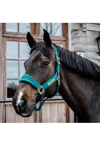 Kantar KENTUCKY Velvet | Sklep jeździecki Horse Trade.pl