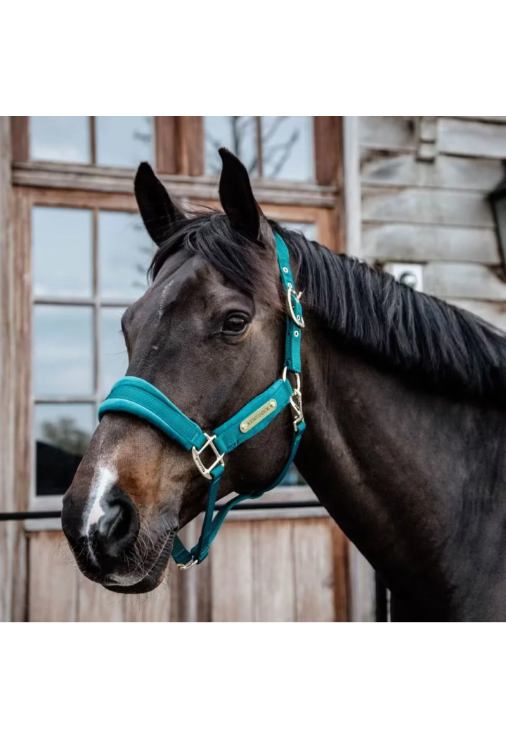 Kantar KENTUCKY Velvet | Sklep jeździecki Horse Trade.pl