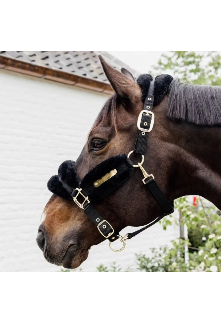 Kantar KENTUCKY SheepskinSoft