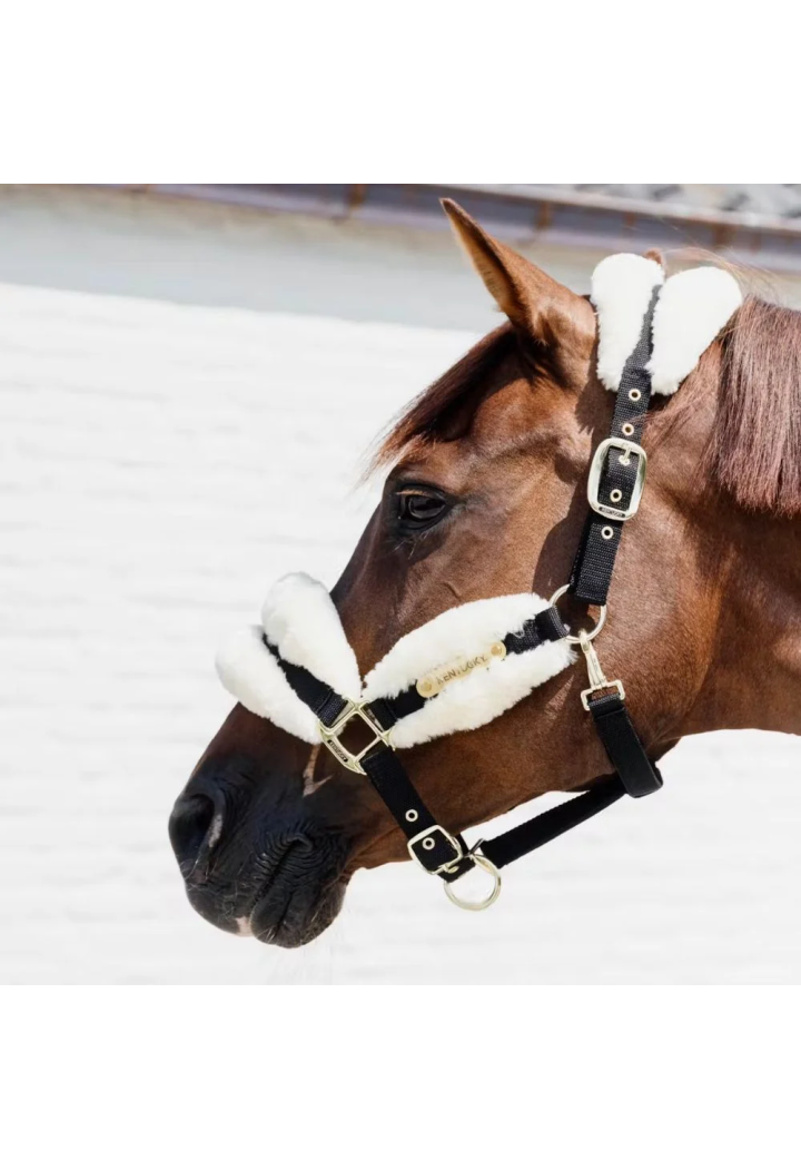 Kantar KENTUCKY SheepskinSoft