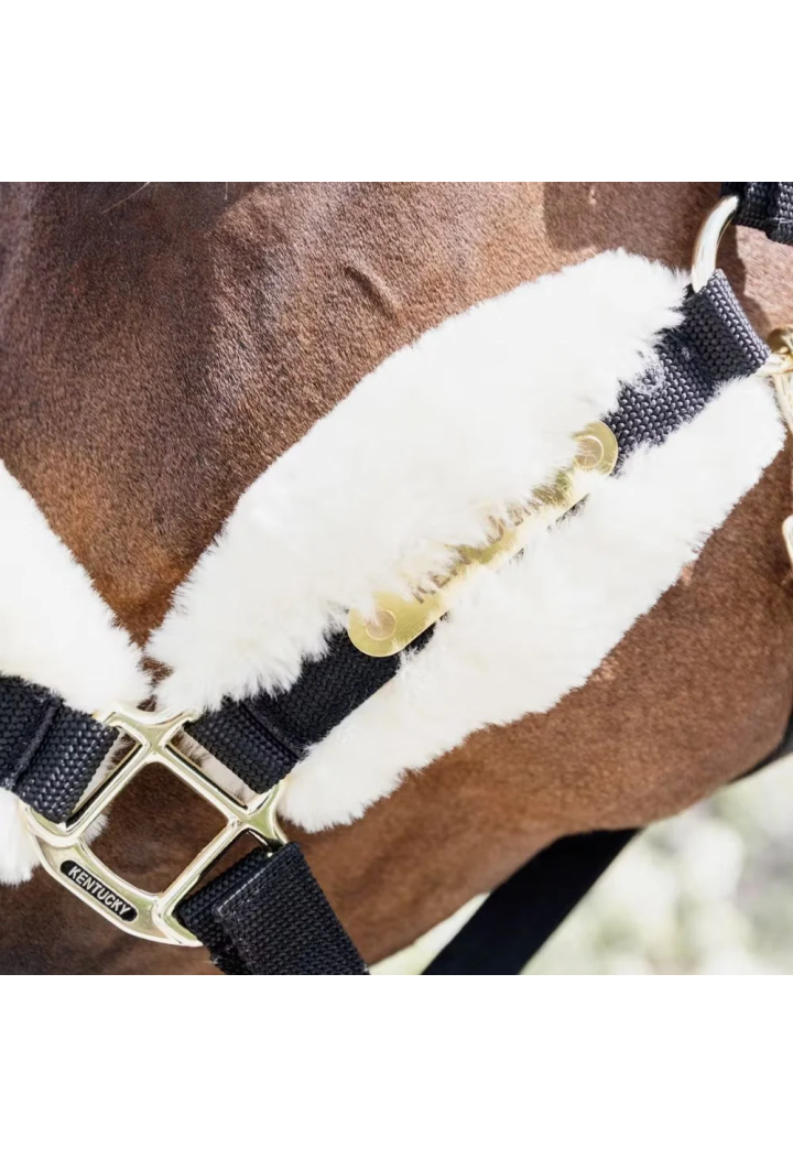 Kantar KENTUCKY SheepskinSoft